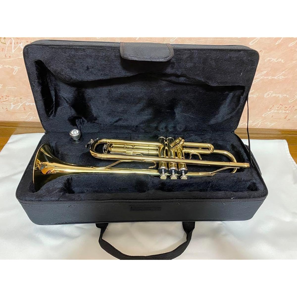 Trumpet case. YI