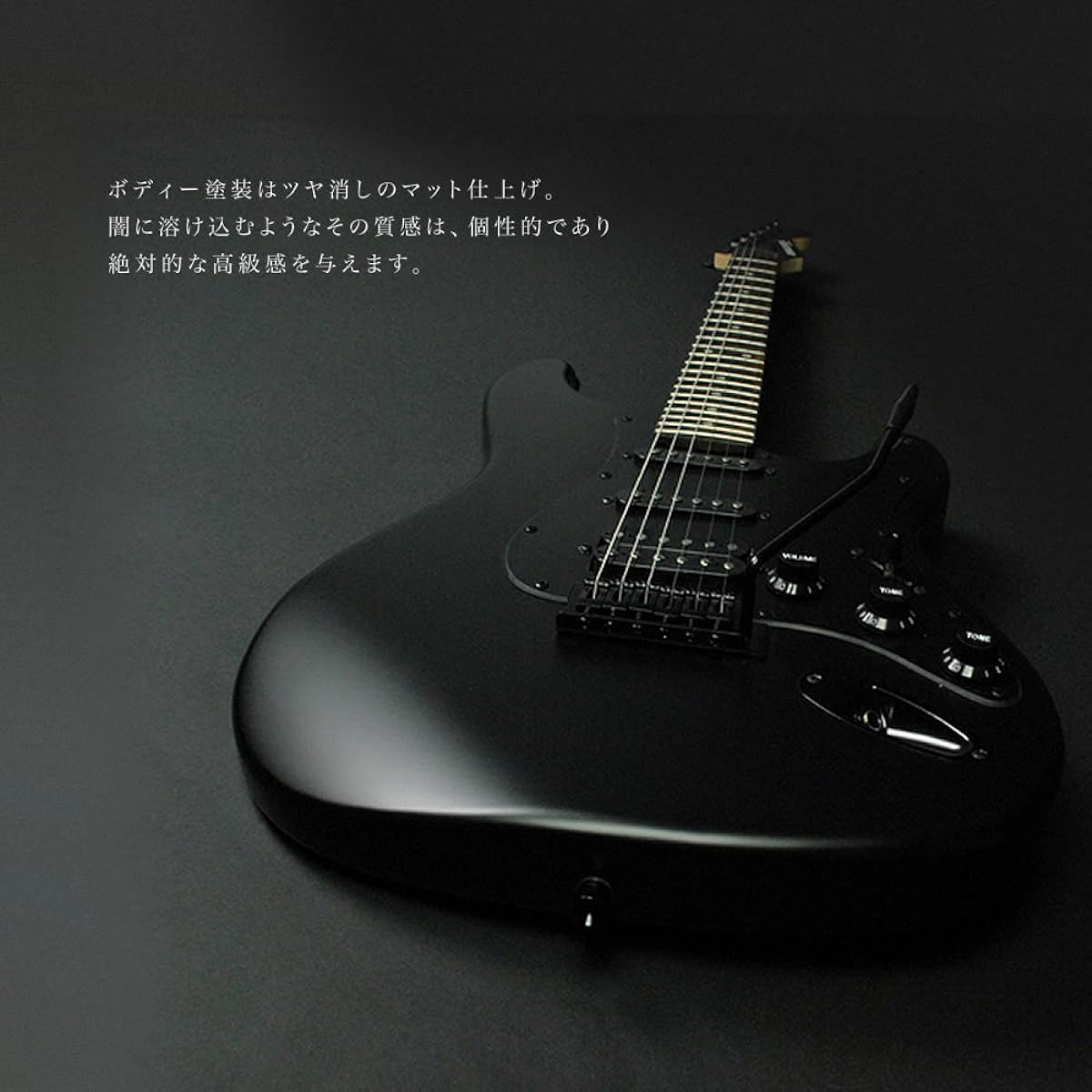 SELDER Electric Guitar Stratocaster Type Sakura Musical Instruments Original STC-04/BB Beginner Introductory Limited Set