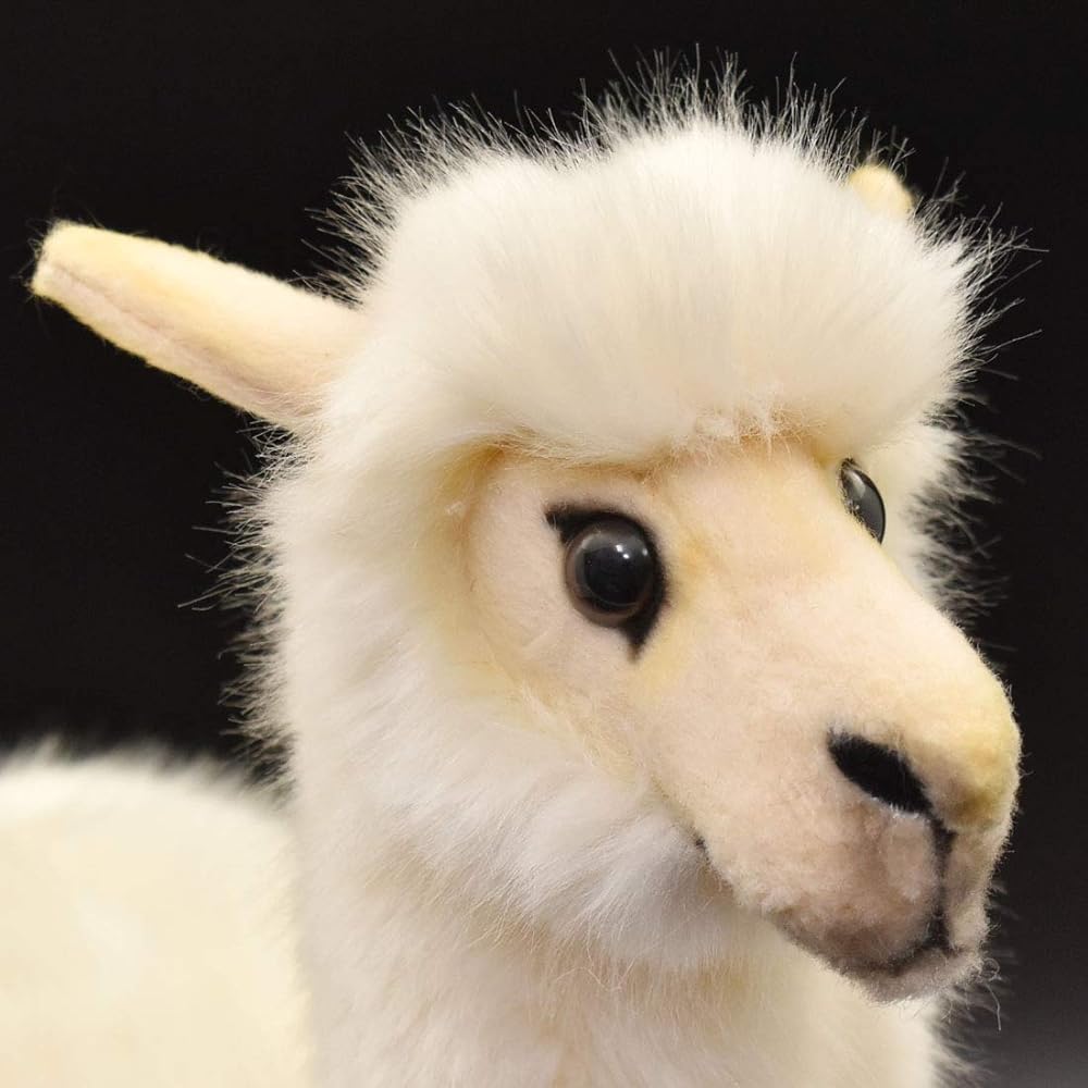 Alpaca No6024