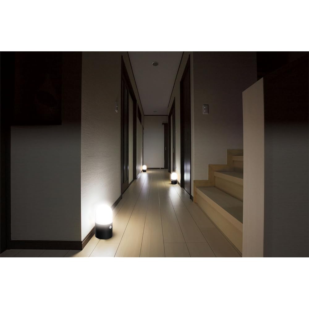 Iris Ohyama Sensor Light Garden LED Battery Operated Round Set of 2 ZSL-MN1M-BKS2
