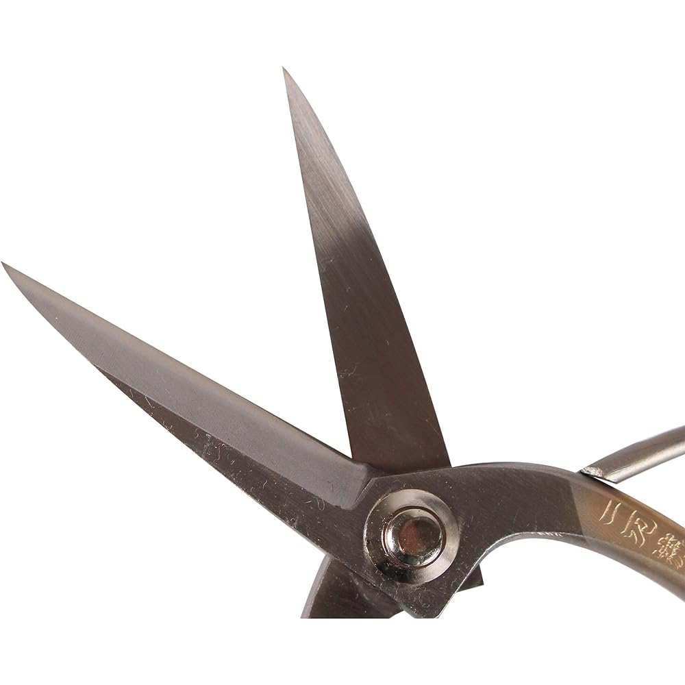 Banshu Miki Stainless Steel SLD Steel Bonsai Scissors 180mm