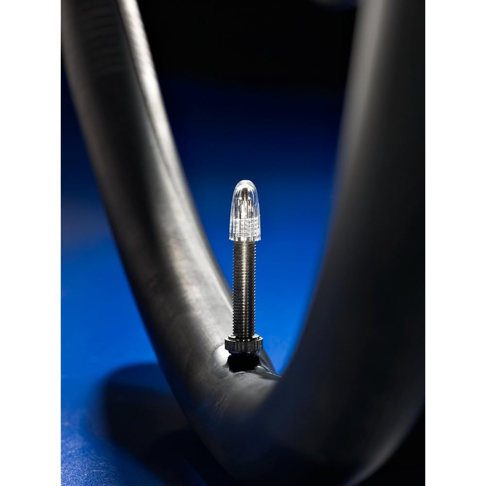 SCHWALBE [Genuine product] Tube for 20 x 1.10/1.50, 20 x 11/8 (406) Presta style 40 mm valve 6SV [Set of 2]