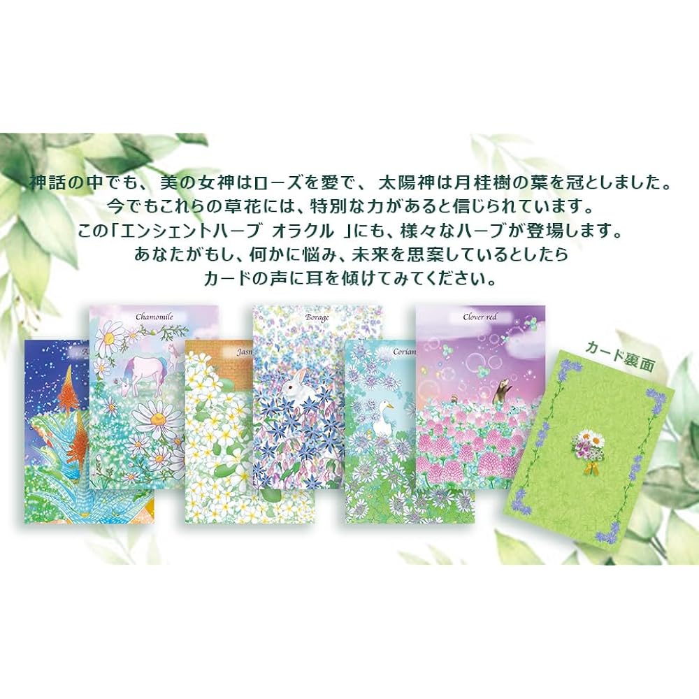 YOUTUBER milky Card therapy Supervised Ancient Herb Oracle Card