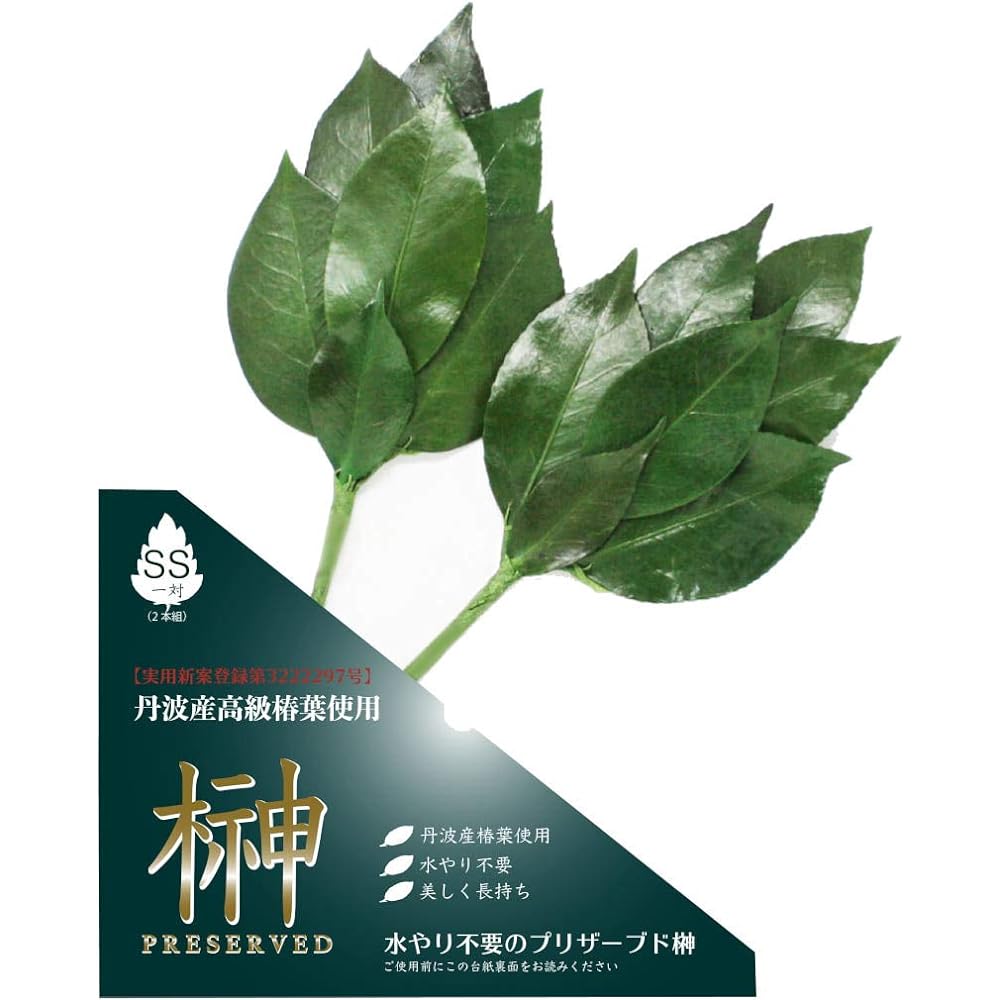A&K Preserved Flower Sakaki Series MV Made in Japan Green Approx. 34 x 14 x 1 cm LK-012ML Pair (Set of 2)