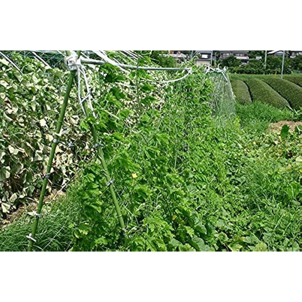 Daio Cucumber Net 18cm Rhombus 4.2mx18m Red/Black