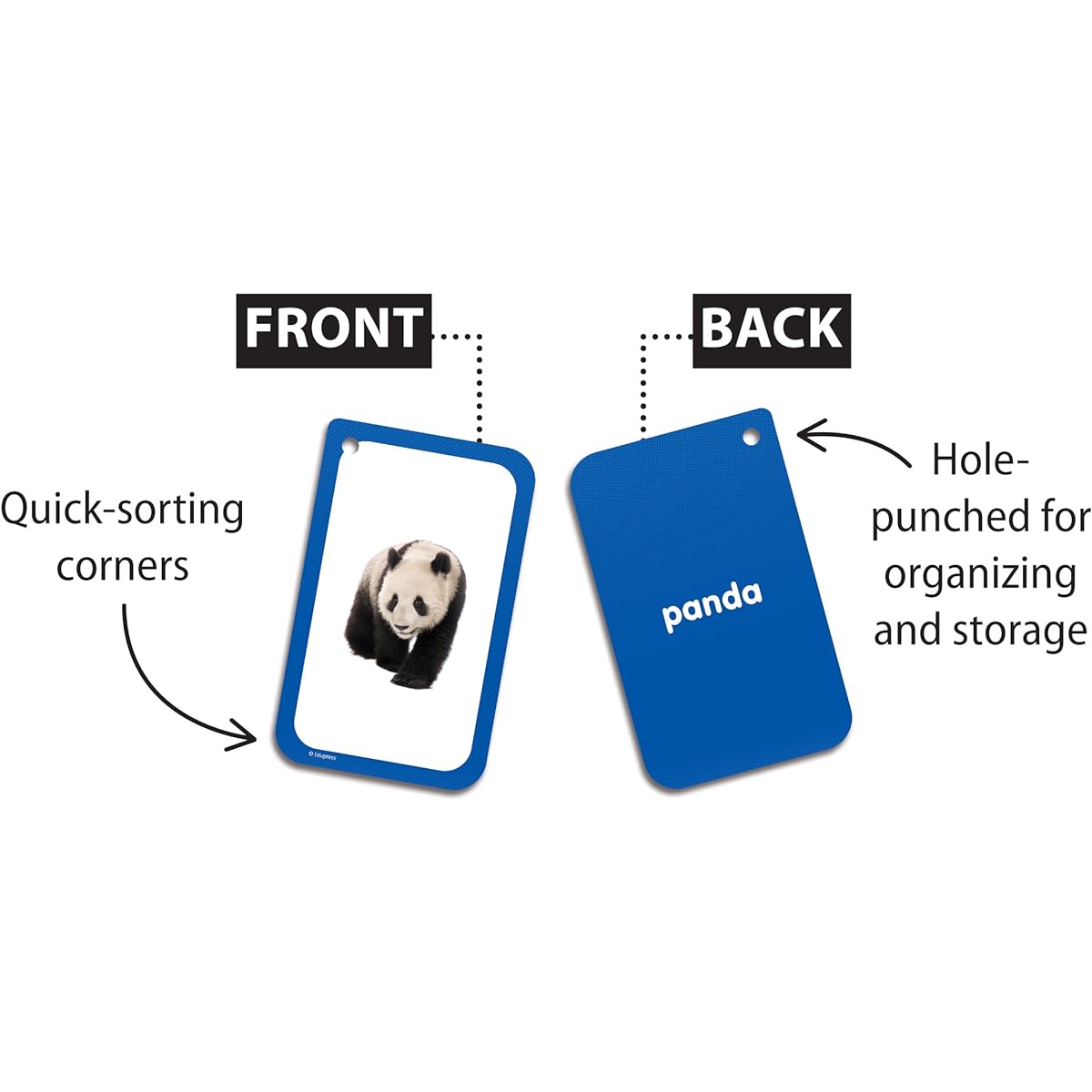 Category Flashcards (EP62079)
