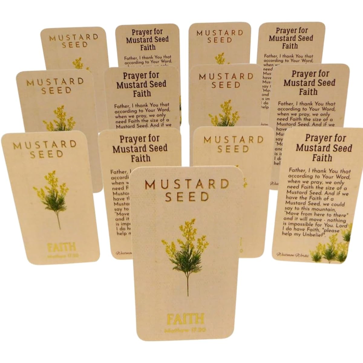 Westmon Works Mustard Seed Holy Cards Bulk Pack Bundle Matthew 17:20 Prayer of Faith, Set of 25