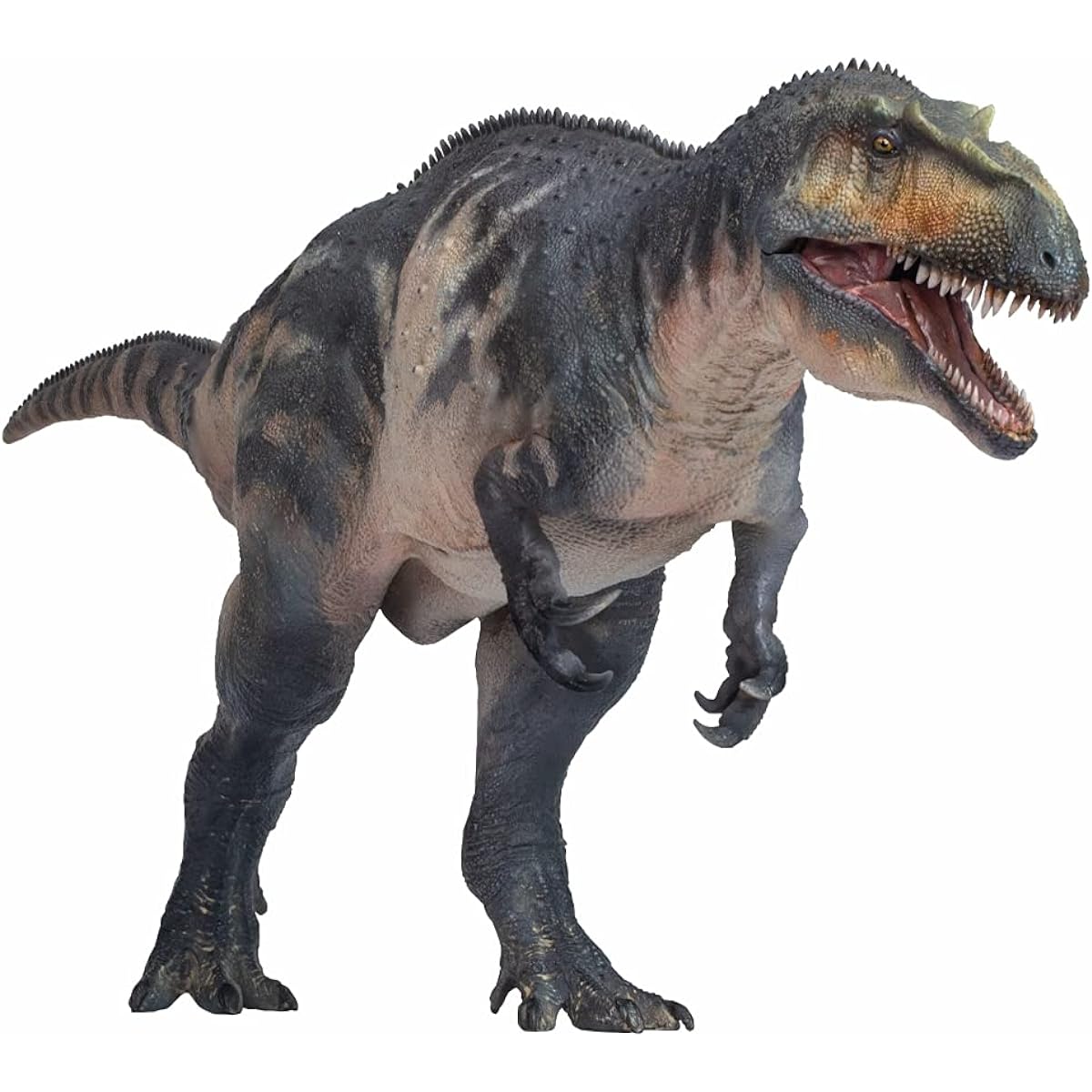 PNSO Torvosaurus Connor Dinosaur Model Toy Collectible Tyrannosaurus Rex Dinosaur Science Art Model Real Animal Figure PVC Premium Plastic Model Painted Finished Product