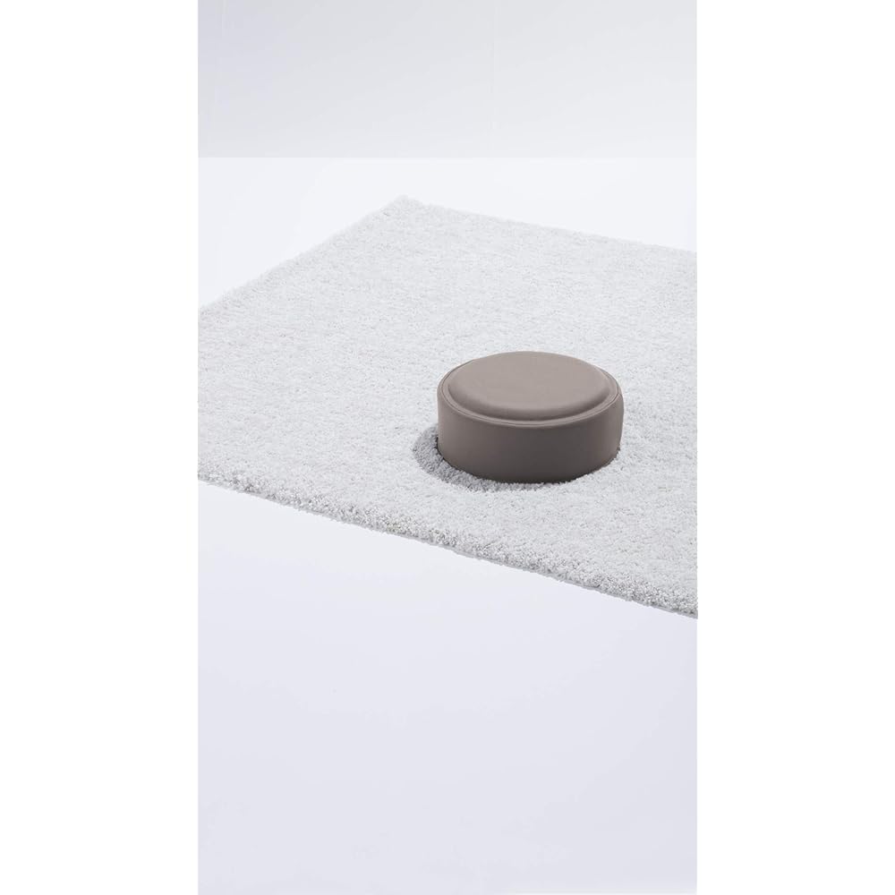 EXGEL Floor Puni Lime Cushion Floor Made in Japan Cute Round