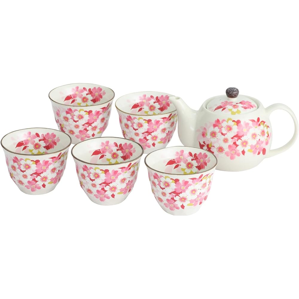 Hyakuchidori 5 guests pot tea utensil 2537