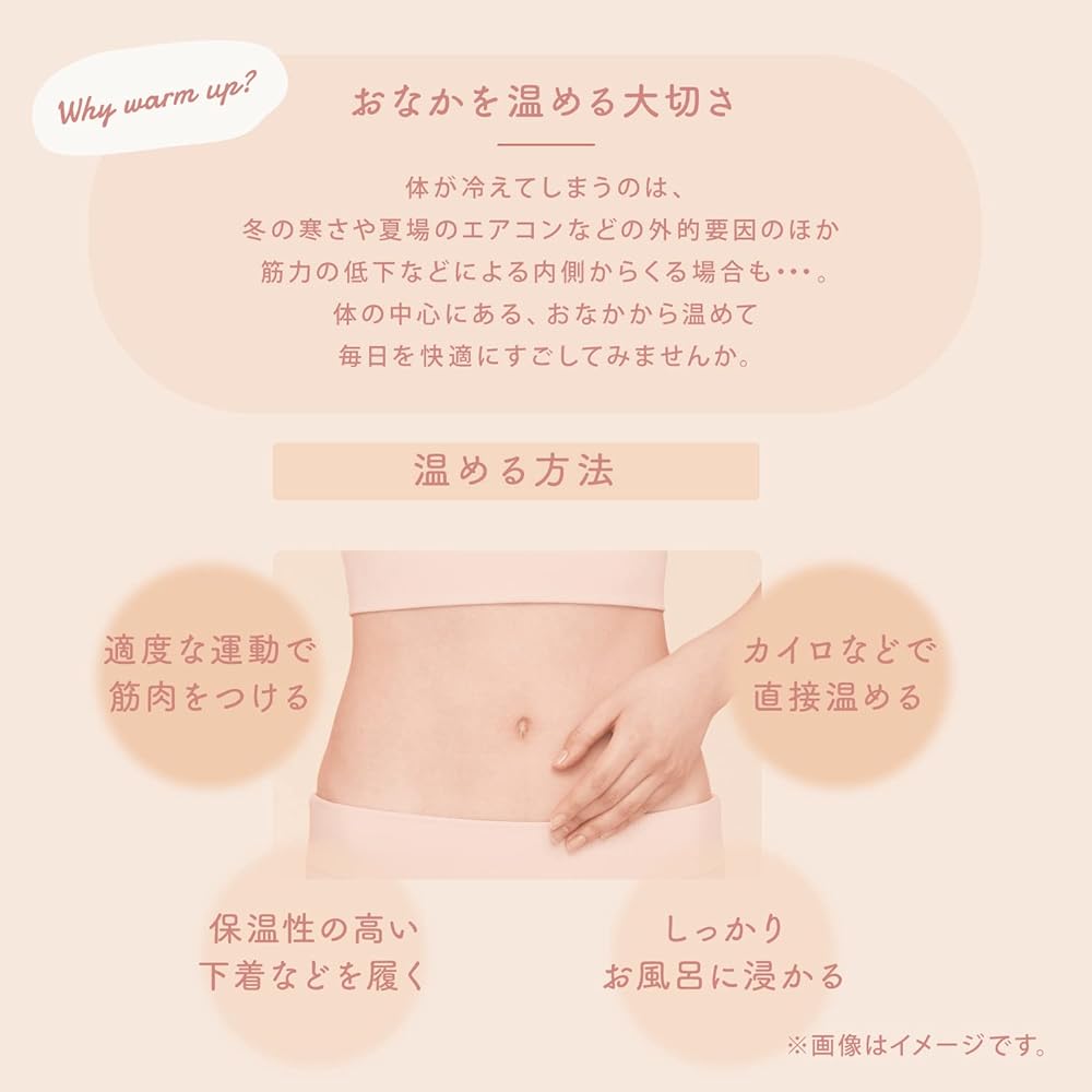 Atex Heater Femtech Lourdes Beaute Femontech Warm Plate EMS Nudie Pink AX-FRL914pk