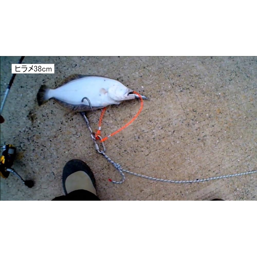 Drop-in double gaff (patented) General fish intake system