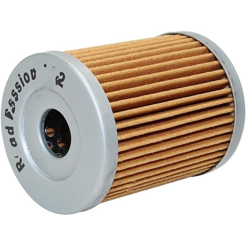 Motorcycle Fuel Filter Motorcycle Oil Filter For Suzuki LT160 LTZ250 RV125VAN DRZ125 RV200 DRZ125l DR200SE AN400 LTF160 LTF300KING (Color : 2 pcs)