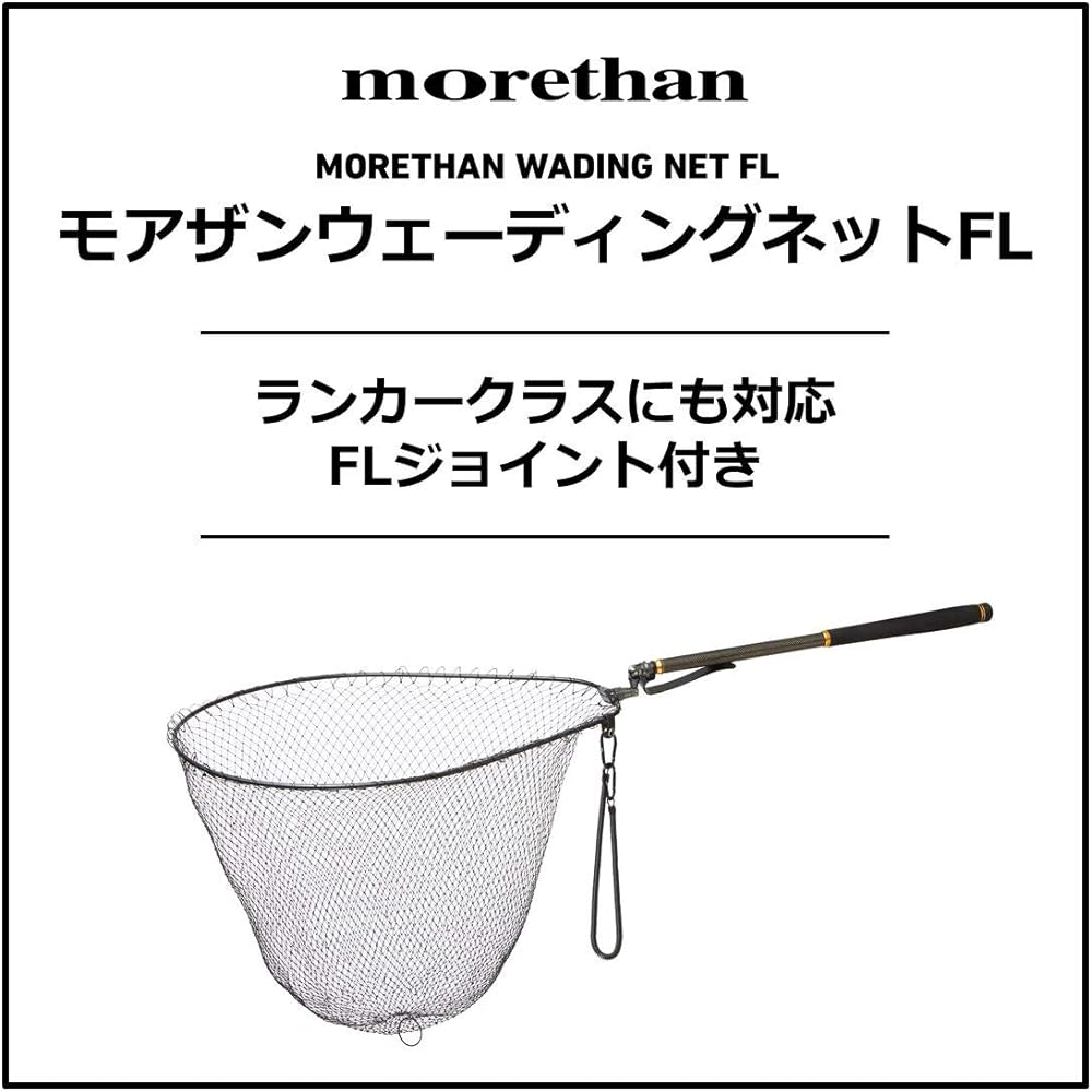 DAIWA More Than Wading Net FL