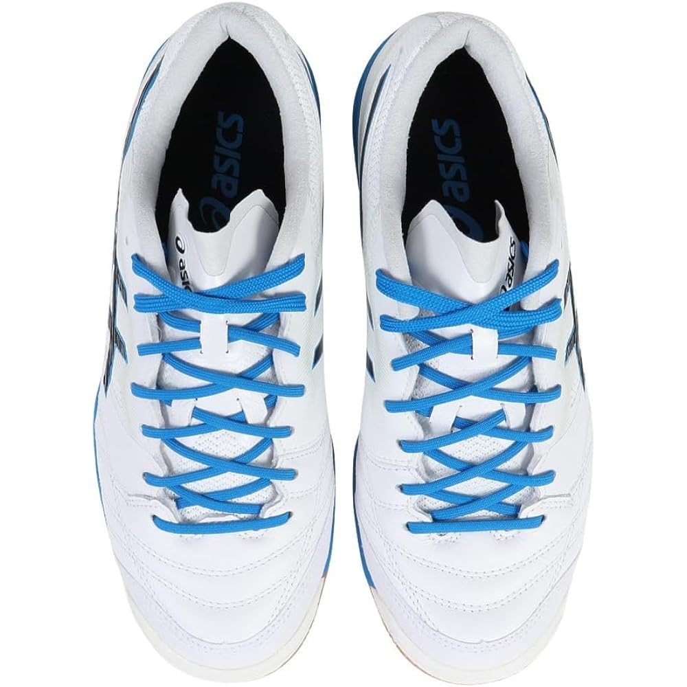 [ASICS] Futsal Shoes DESTAQUE K FF Men's