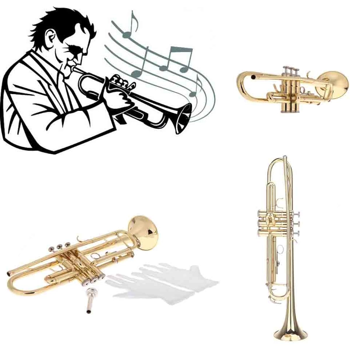 Sasuori Beginner 5 Piece Set Bb B Flat Trumpet Brass Wind Instrument