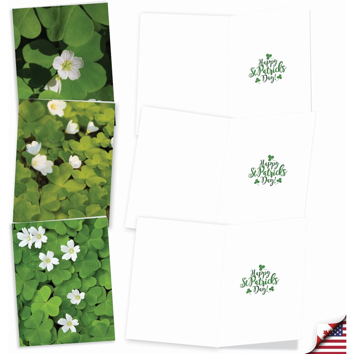 The Best Card Company 20-Piece St. Patrick's Day Notecard Box Set 4 x 5.12 Inches with Envelopes (10 Designs, 2 of Each) Blooming Clovers AM10419SPG-B2x10
