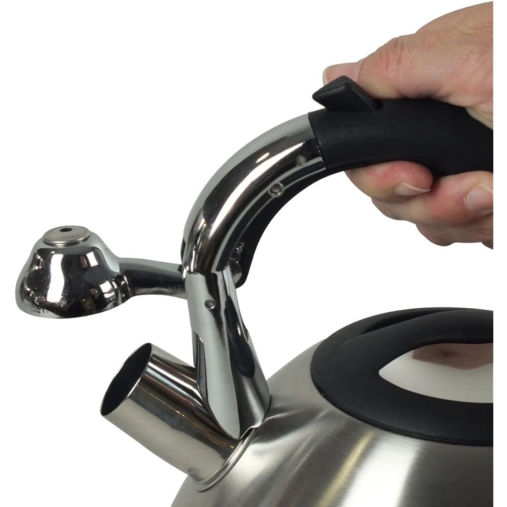 Kela Kettle Stainless Steel 11655 Size:∅22×H21.5cm