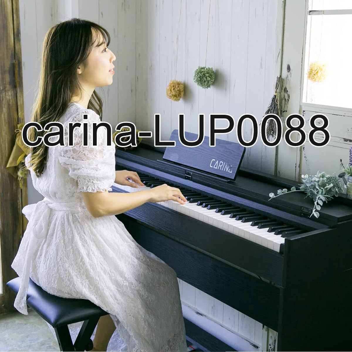 Carina Electronic Piano 88 Keyboard Hammer Action Keyboard 3 Pedals Wooden Stand (Black)