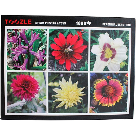 1000 Piece Jigsaw Puzzle Perennial Beauty I. Flower Painting Poster, 12.7cm x 17.78cm Collector's Card, Red Mesh Bag