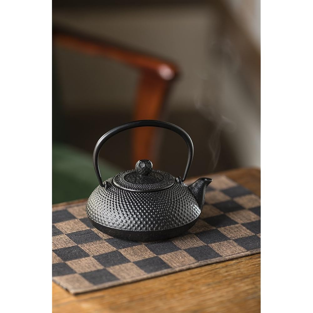 Ikenaga Tekko Nambu Ironware Iron Kettle Made in Japan Kettle 0.6L Tea Container Iron Replenishment Hoju
