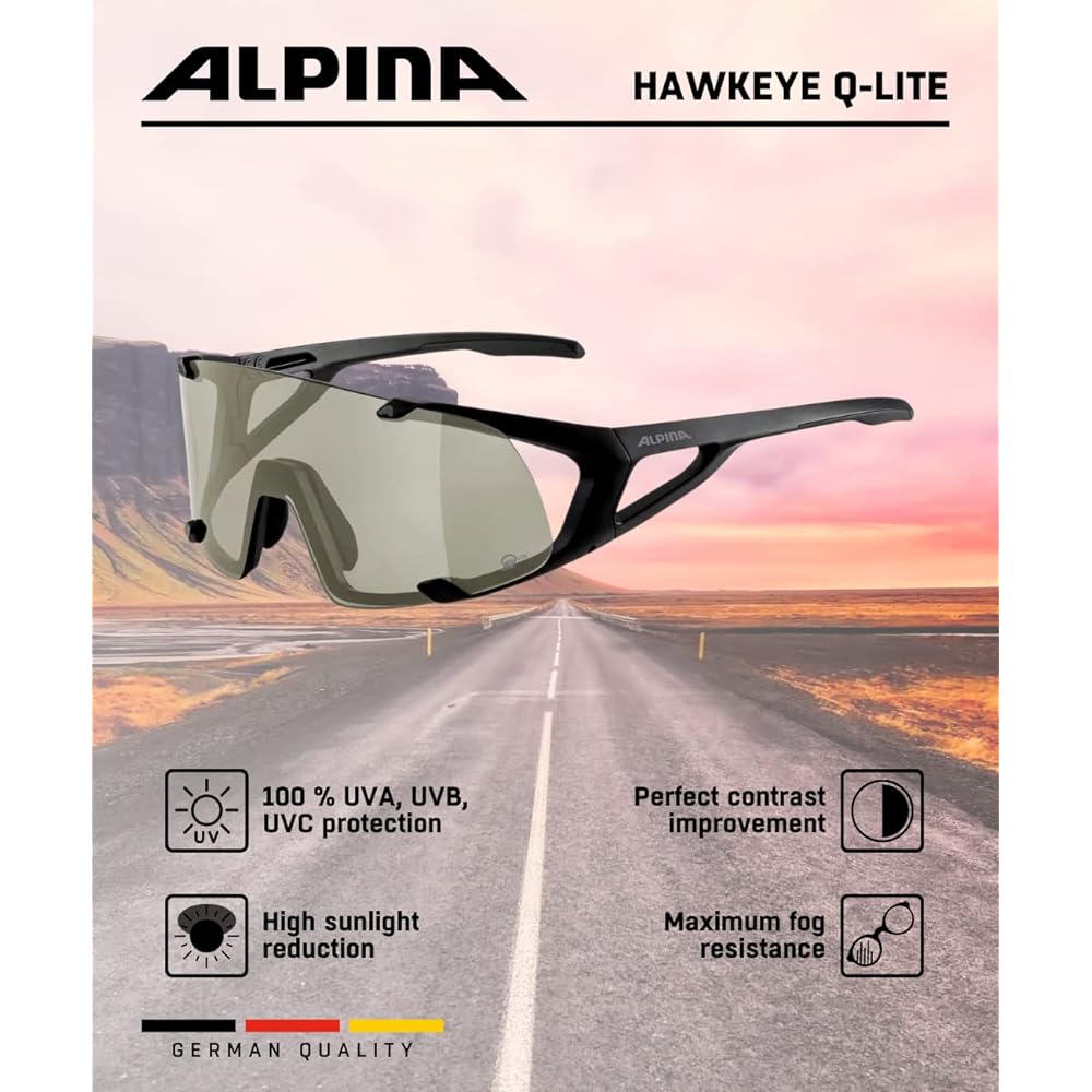 [Alpina] Sports sunglasses/goggles HAWKEYE Q-LITE