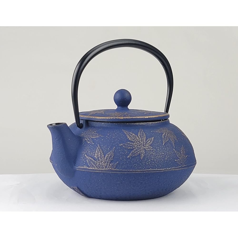 Iwachu Teapot 5 Type Maple Gold/EBU 0.65L Enamel Inside Nambu Ironware 45749