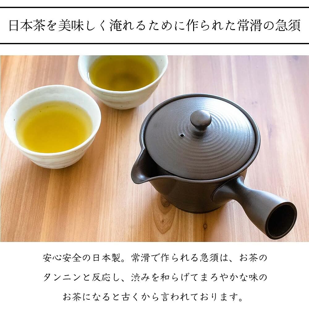 Himawarido Teapot Tokoname Ware Made in Japan (Vermilion)