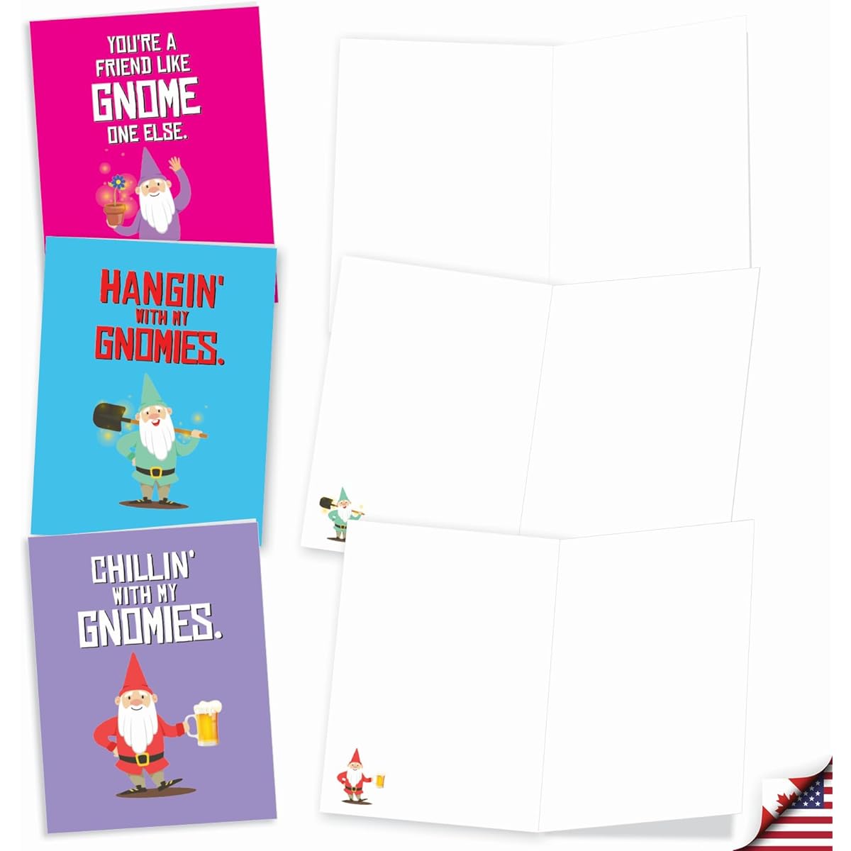 The Best Card Company Friendly Garden Gnome - Box of 20 All Occasion Cards - Bulk Set AM6441OCB-B2x10
