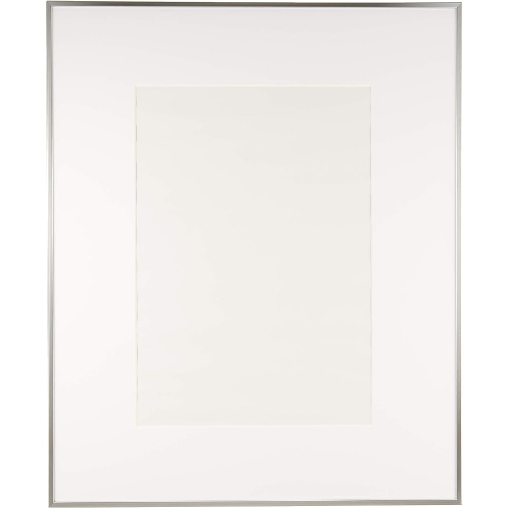 FUJICOLOR Picture Frame Wide Matte Frame A5010 Acrylic Full Paper Aluminum Silver 303593