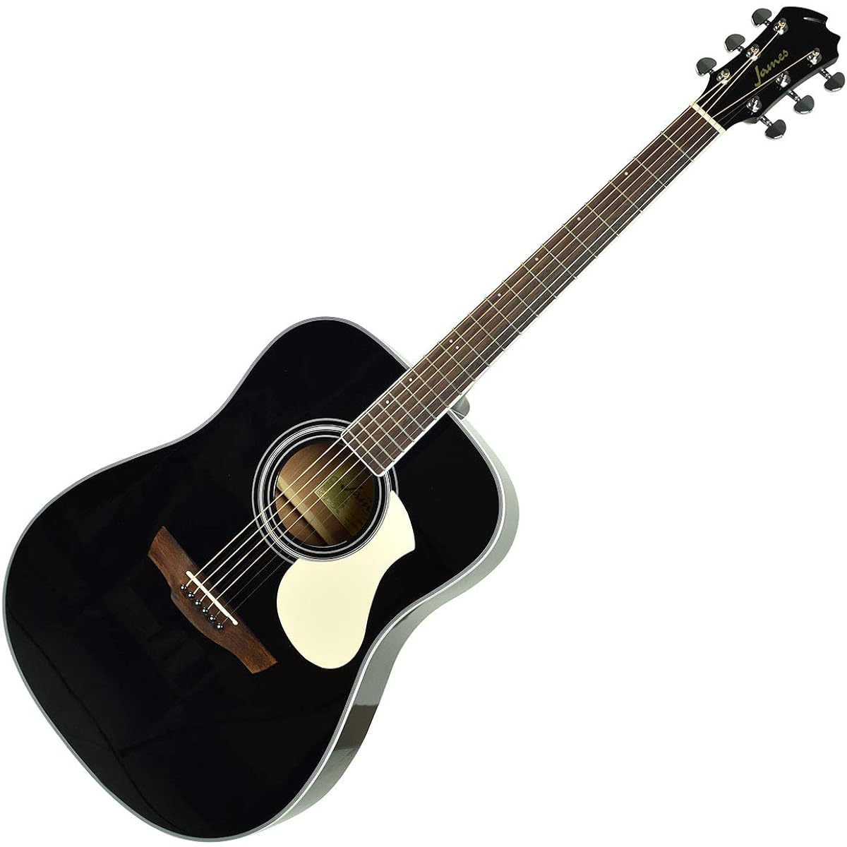 James J-300D Black Acoustic Guitar Dreadnought Type James