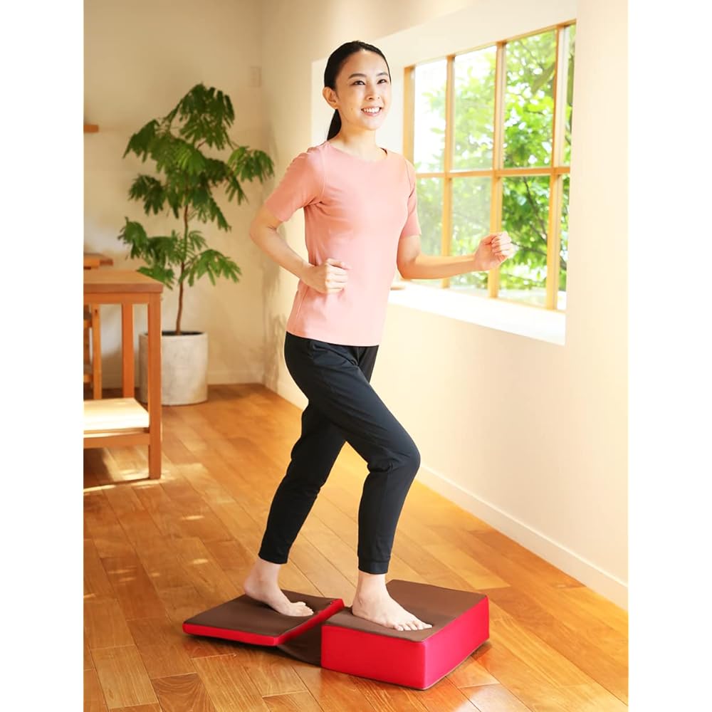 Cyplus Silent step stool Genkidai Indoor exercise Quiet design that does not easily echo downstairs Cushion Indoor elevator