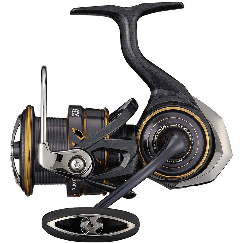 DAIWA spinning reel 21 Caldia LT (2021 model)