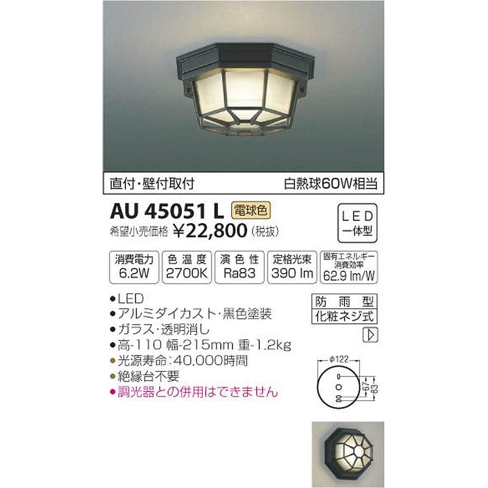 Koizumi Lighting LED eaves ceiling, direct/wall mounted, equivalent to 60W incandescent bulb, bulb color, AU45051L