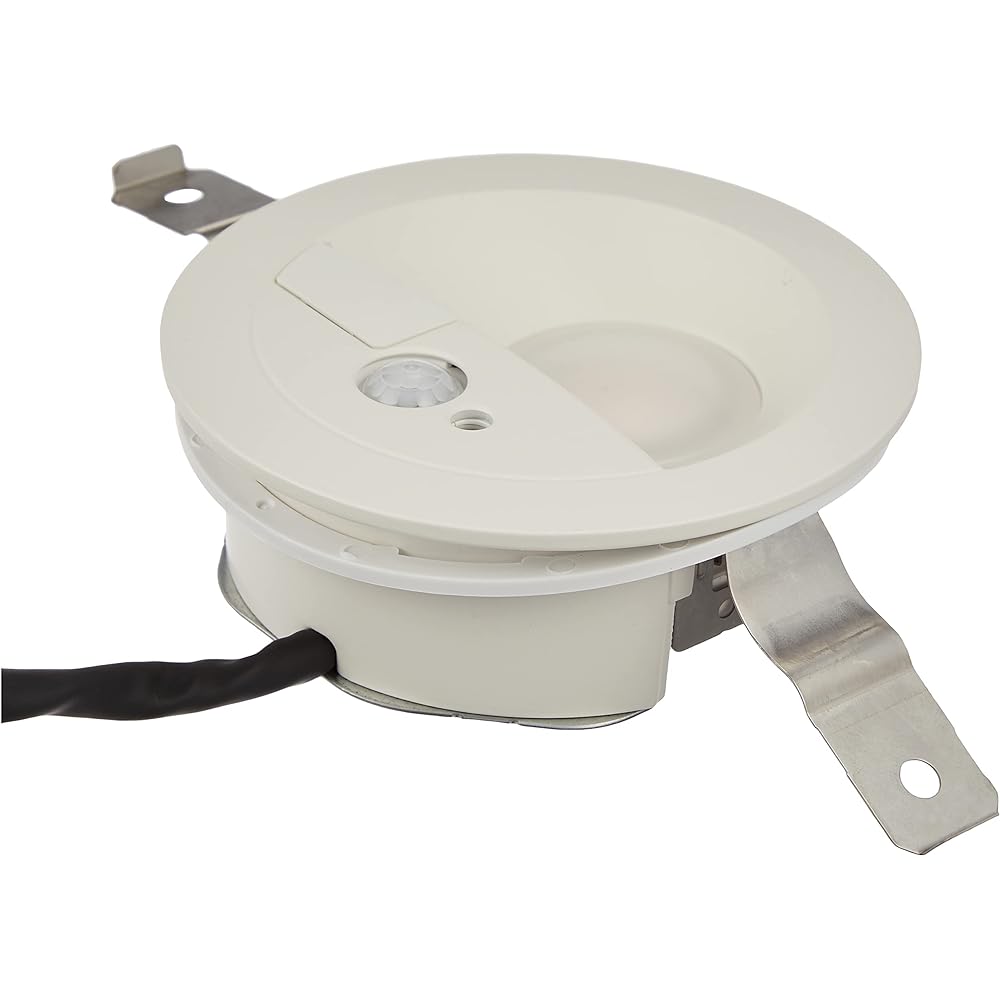 Panasonic LED downlight 60 type diffused bulb color LSEBC5067LE1