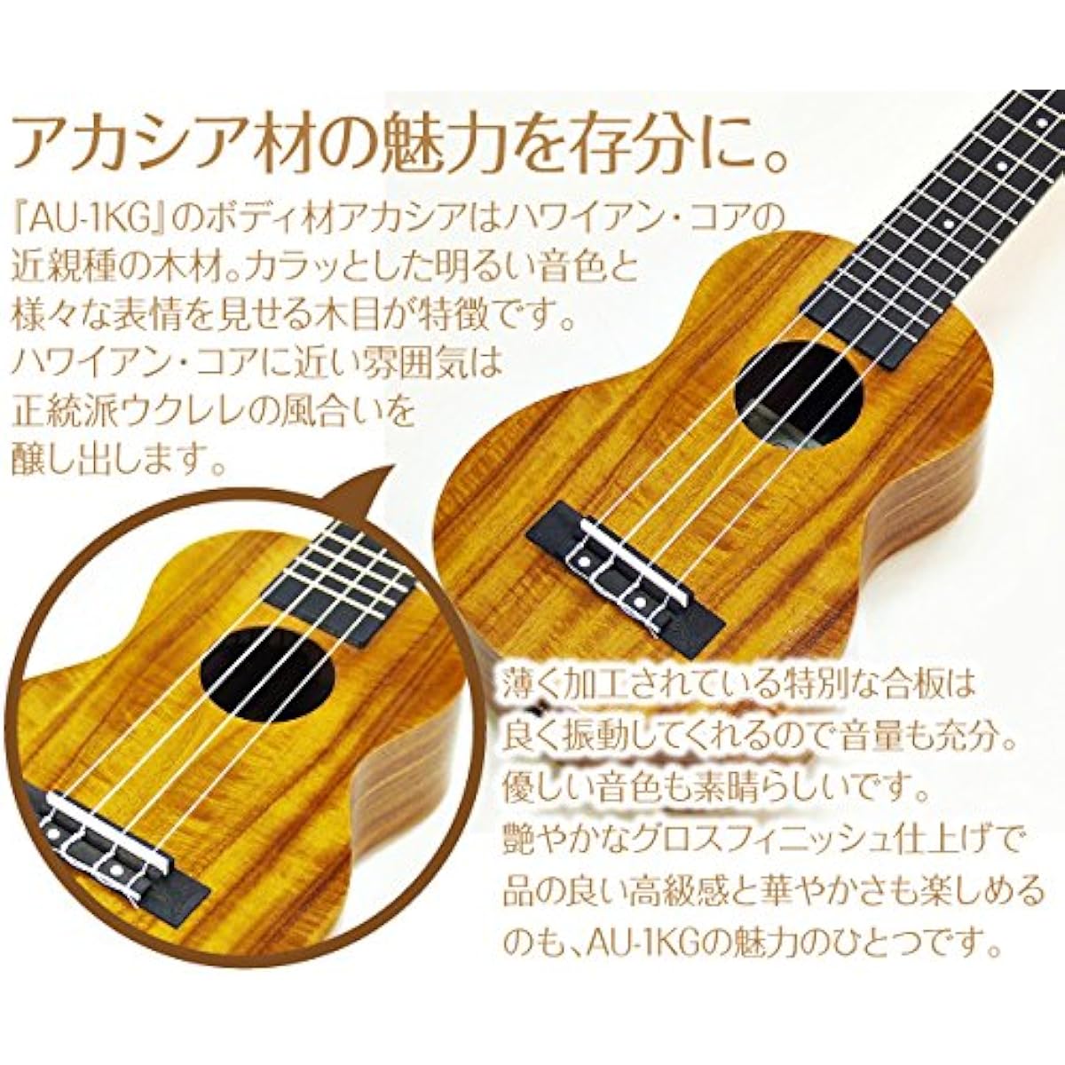 Ukulele Aria AU-1KG Soprano Stand with Replacement Strings Special 10 Piece Set Core Material String Height Adjusted Aria (with end pin) (u)