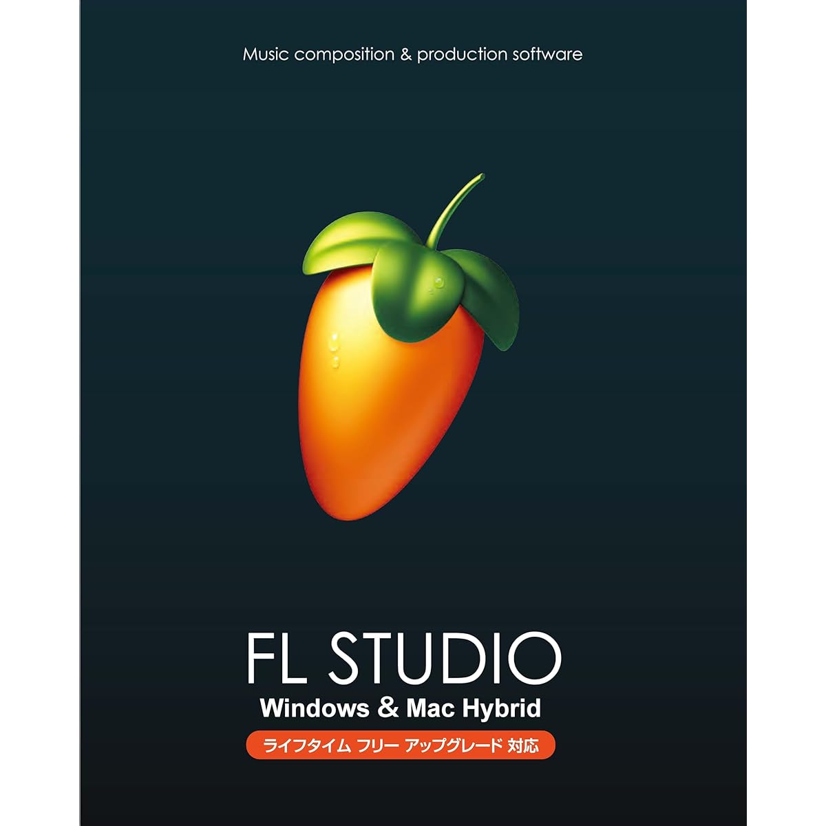 Image-Line FL STUDIO 21 Signature CG Explanation Book PDF Bundle [Domestic genuine product]