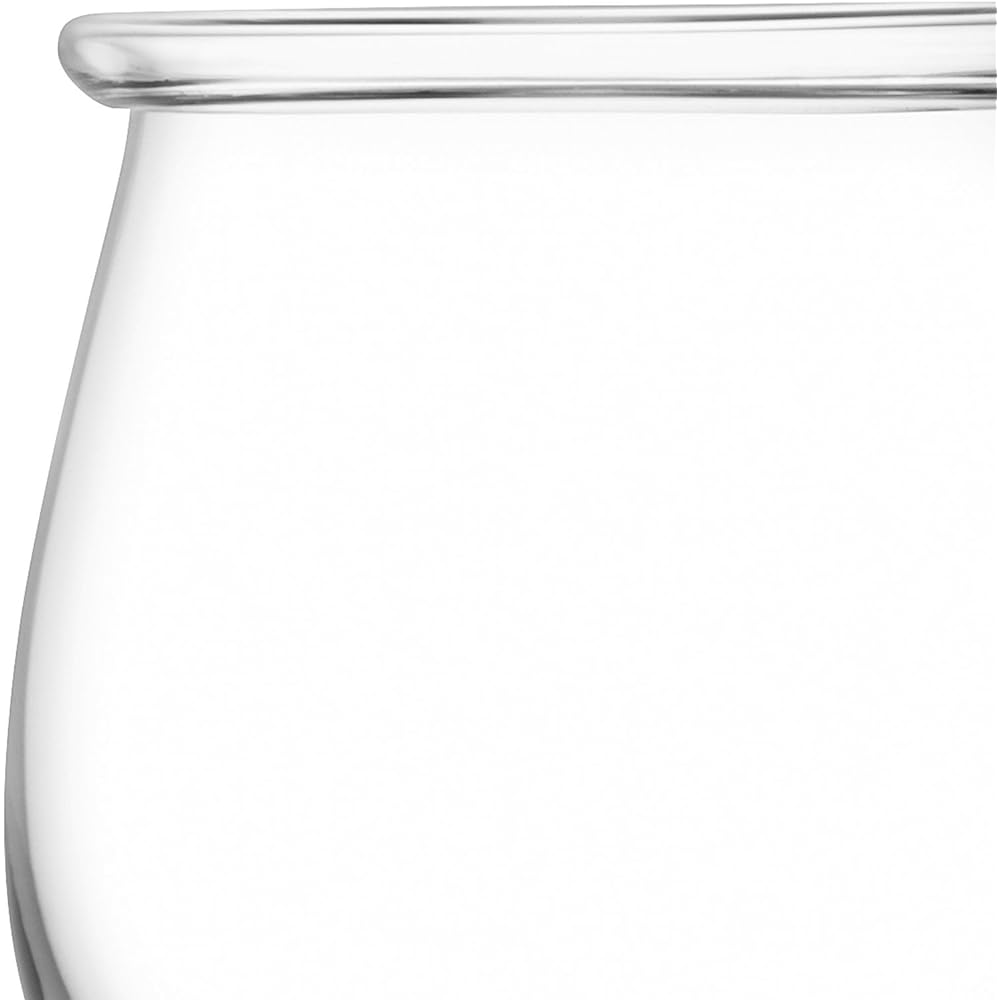 LSA Flower Vase/Lantern Clear Height 20cm COLLAR G1473-20-301