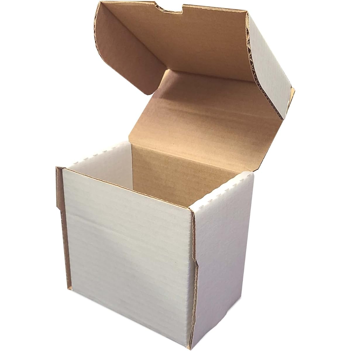 BCW Semi-Rigid #1 Card Holder Storage Box 5"