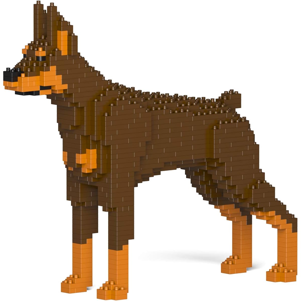 JEKCA Doberman Pinscher 01S-M02