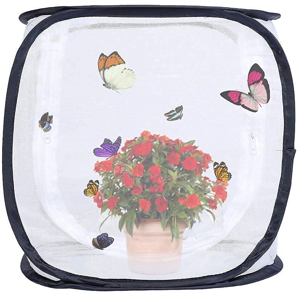 Mumusuki Outdoor Foldable Butterfly Insect Cage Living - Fine Mesh Stops Captures - 5 Mesh Panels for Ventilation - Large Zipper Opening - Clear Window Panel for Easy Viewing.