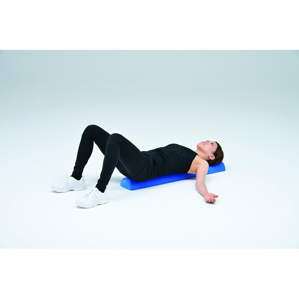 TOEI LIGHT Stretch Roller SC900 H7249