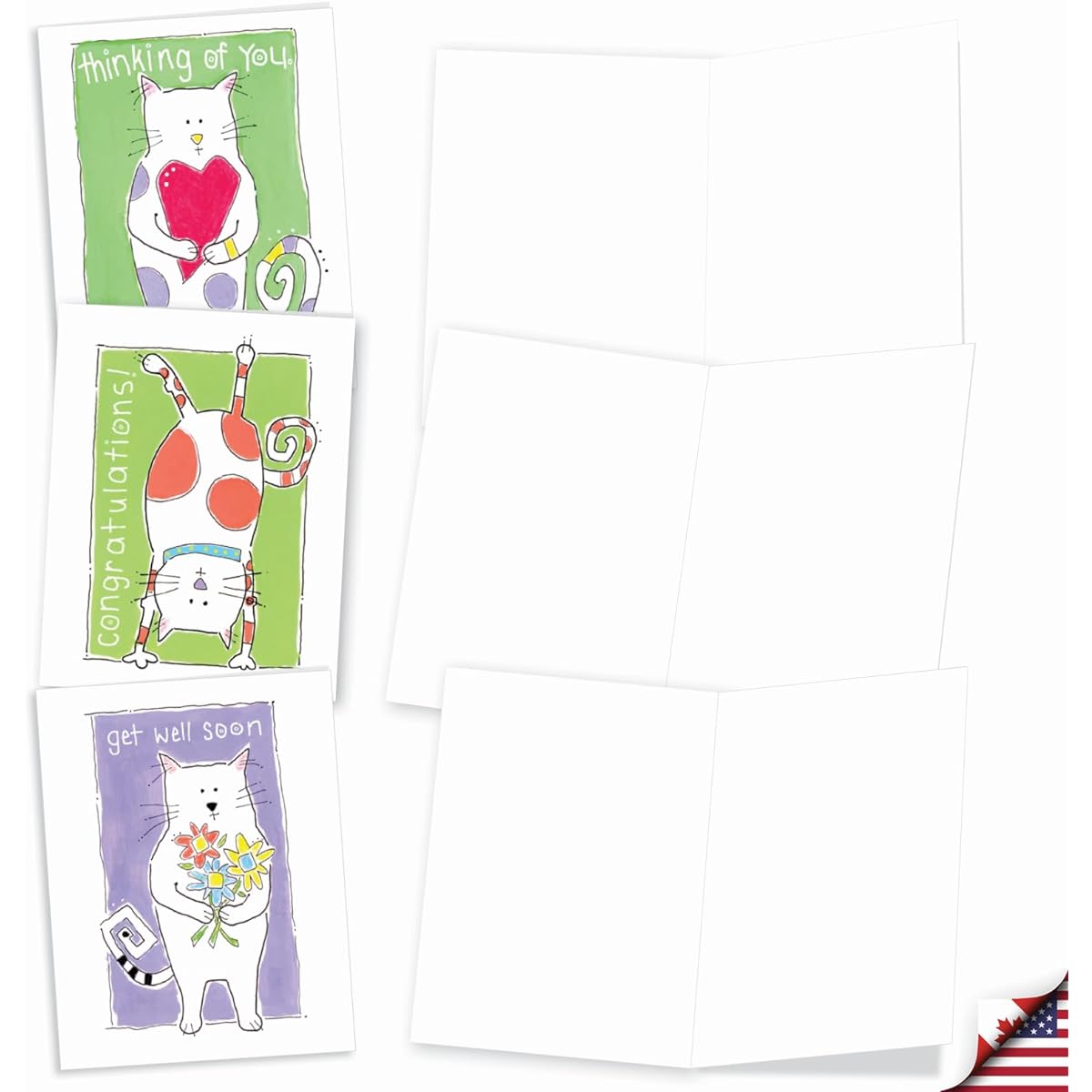 The Best Card Company Cat Scratch - 20 Assorted Boxed Various Occasion Note Cards with Envelopes (4 x 5.12 Inch) - Kitten Messages AM3118XXB-B2x10