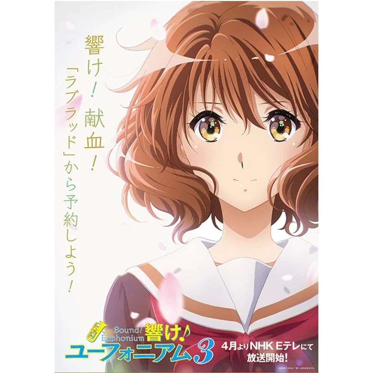 A1 size Sound Euphonium 3 A1 poster