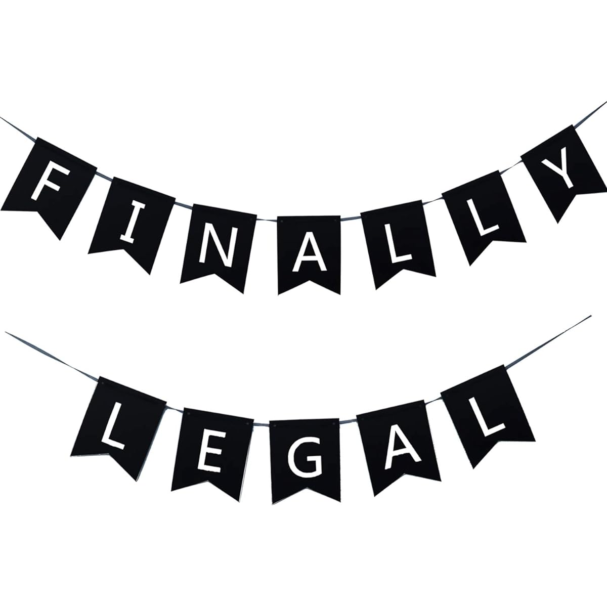 21 Finally Legal 21st Birthday Decorations Black and Silver Finally Legal Party Banner 21st Birthday Party Sign