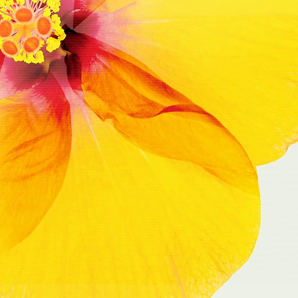 Painting "Hibiscus from Above" Interior Painting Flower Art Panel Framed (H 43cm x Width 43cm)