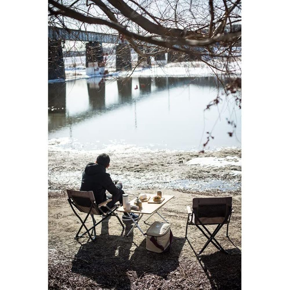 Snow Peak Low Chair Short Camping Outdoor