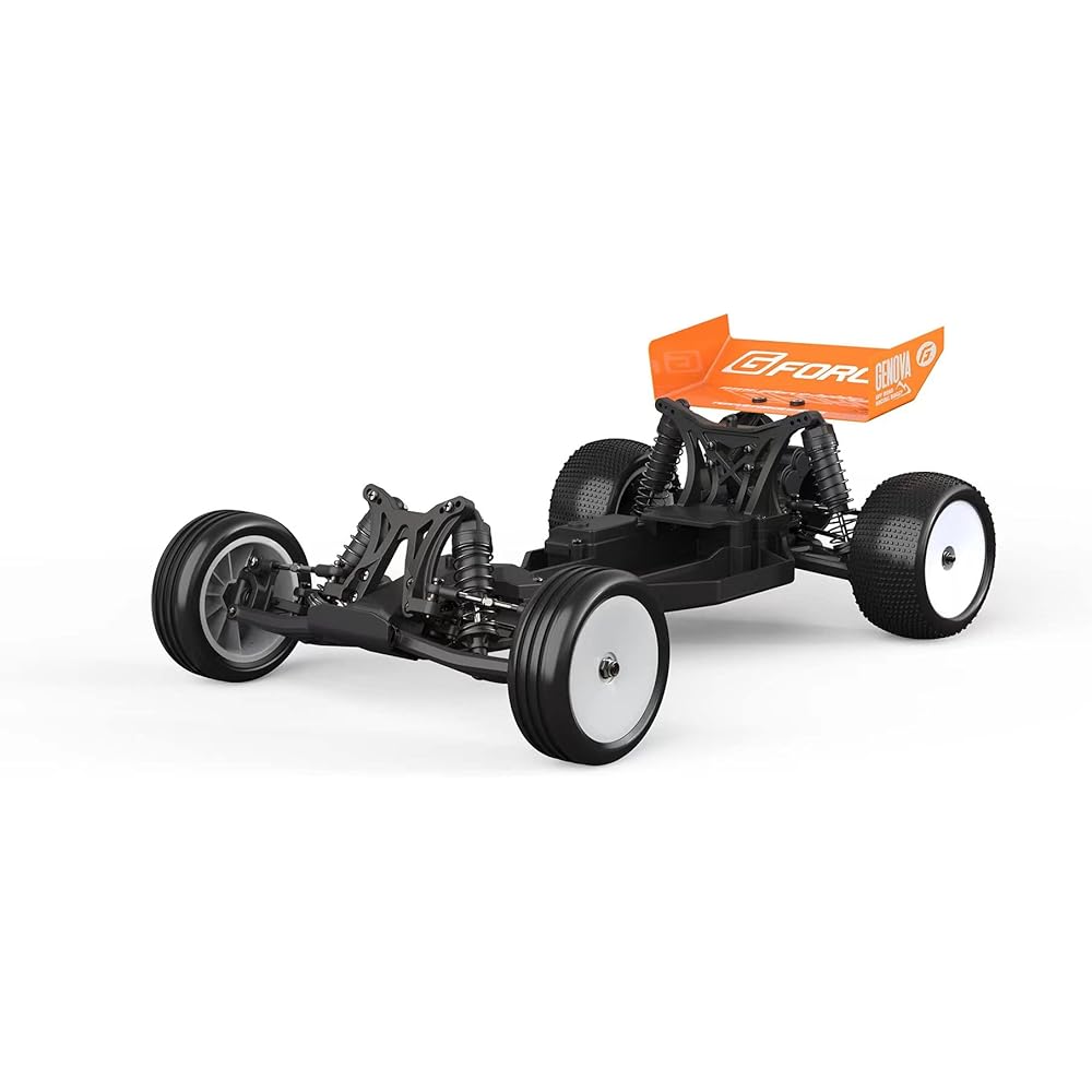 G-Force Genova 2WD Buggy kit GK001 Multicolor