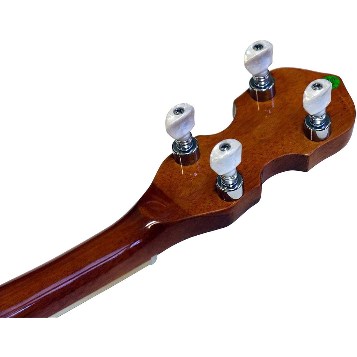Blanton Resonator Banjo BB-15R