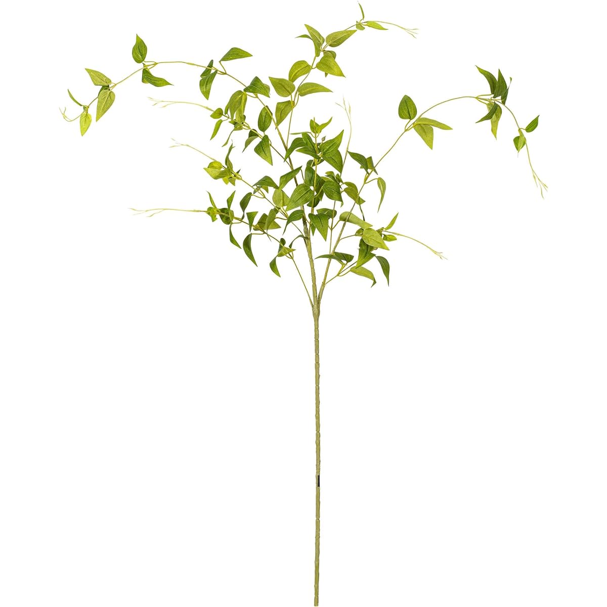 Vickerman FA187801 Green Clematis Floral Stem 3 Pieces